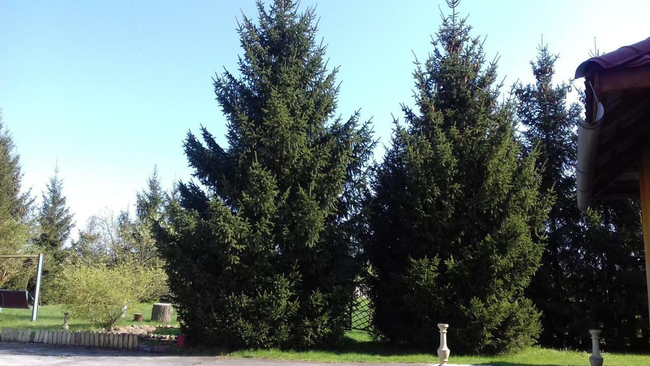Dom Na Ludowo W Brzeznicy Brzeznica (Krosno Odrzanskie) Exterior foto